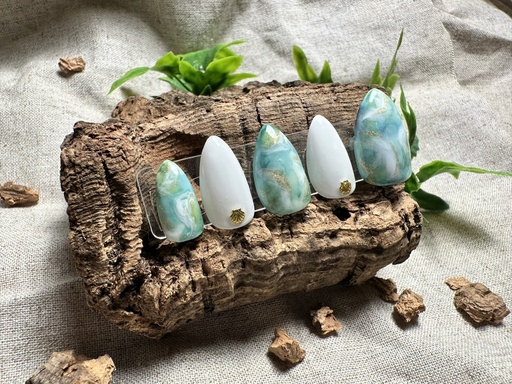 Sea ​​Shell